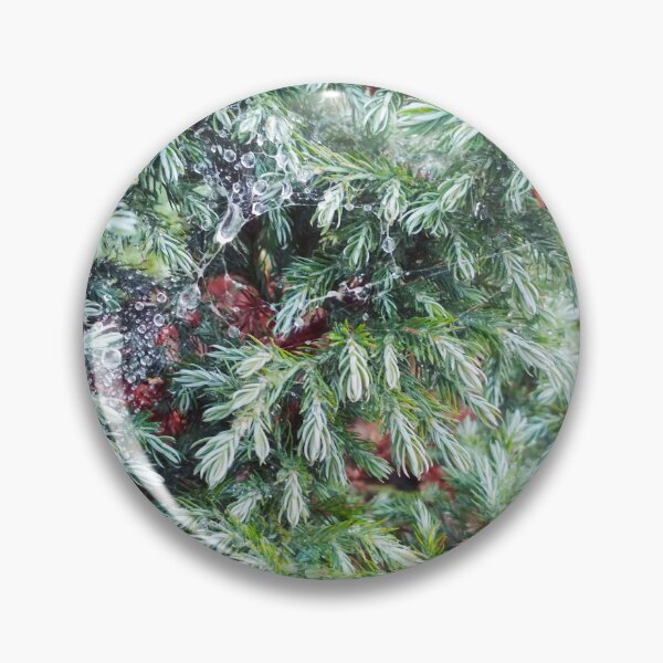 Item preview, Fir tree covered with drops of rain designed and sold by helenkaiy.