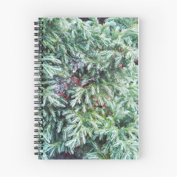 Item preview, Fir tree covered with drops of rain designed and sold by helenkaiy.