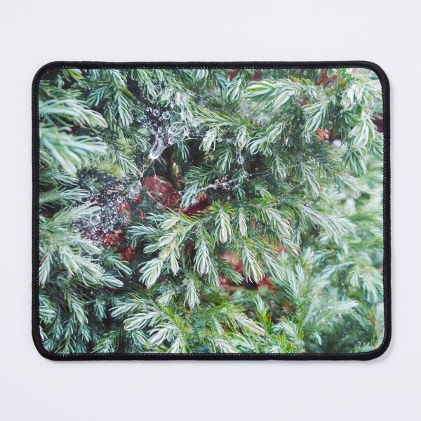 Item preview, Fir tree covered with drops of rain designed and sold by helenkaiy.