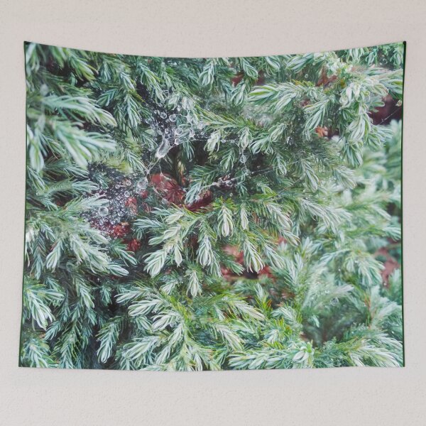 Item preview, Fir tree covered with drops of rain designed and sold by helenkaiy.