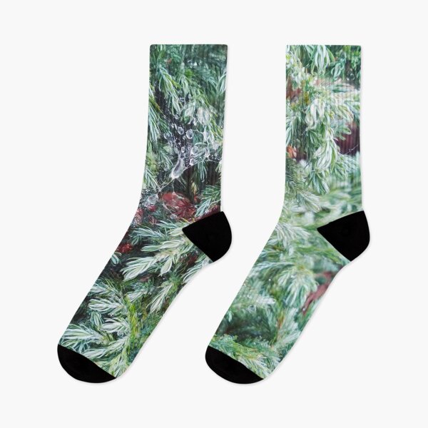 Item preview, Fir tree covered with drops of rain designed and sold by helenkaiy.