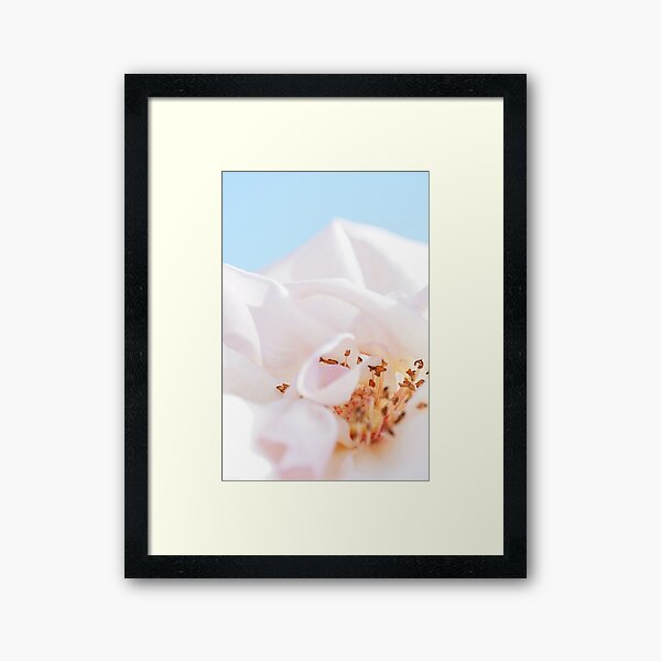 Item preview, White Rose designed and sold by Brenton Bessell.