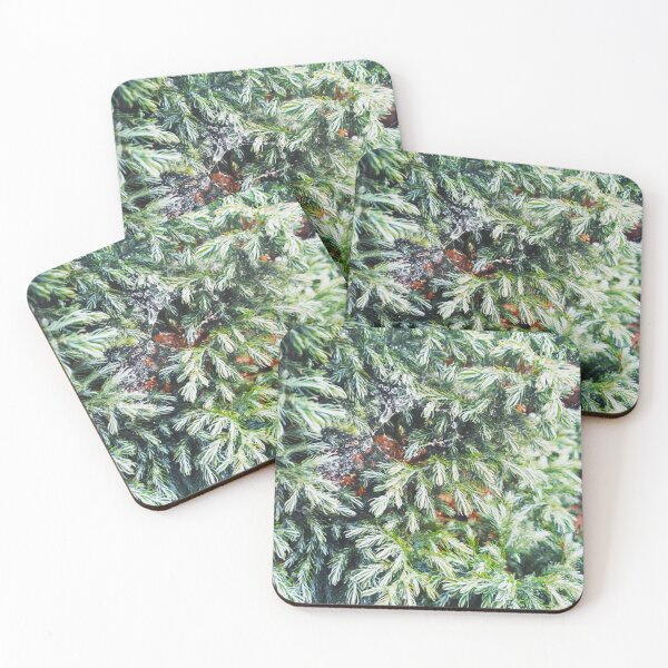 Item preview, Fir tree covered with drops of rain designed and sold by helenkaiy.