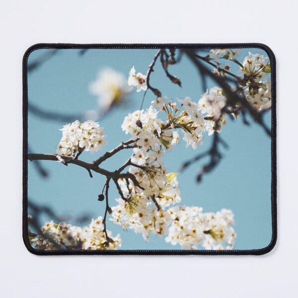 Item preview, White Cherry Blossom designed and sold by Brenton Bessell.