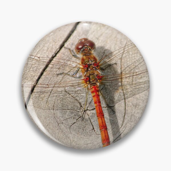Artikelvorschau, Dragon fly entworfen und verkauft von AnthonyThomas.