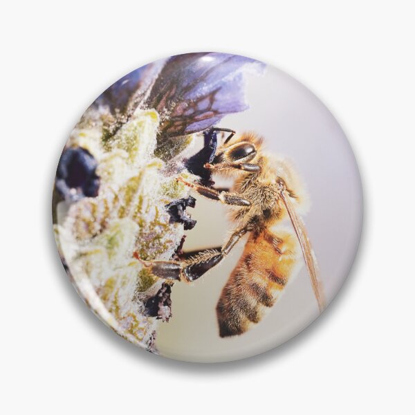 Item preview, Honey Bee designed and sold by Brenton Bessell.