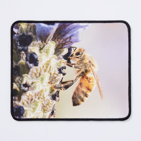 Item preview, Honey Bee designed and sold by Brenton Bessell.