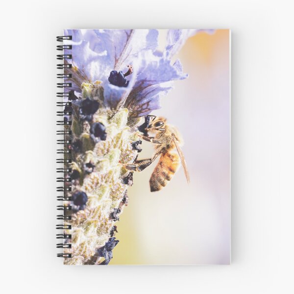 Item preview, Honey Bee designed and sold by Brenton Bessell.