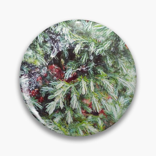 Item preview, Fir tree covered with drops of rain designed and sold by helenkaiy.