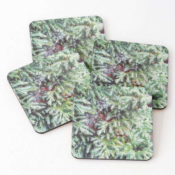 Item preview, Fir tree covered with drops of rain designed and sold by helenkaiy.