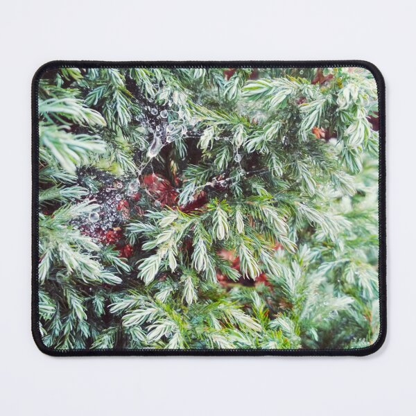 Item preview, Fir tree covered with drops of rain designed and sold by helenkaiy.