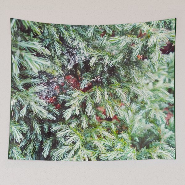 Item preview, Fir tree covered with drops of rain designed and sold by helenkaiy.