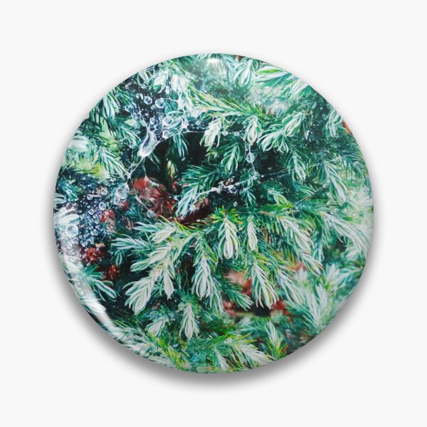 Item preview, Fir tree covered with drops of rain designed and sold by helenkaiy.