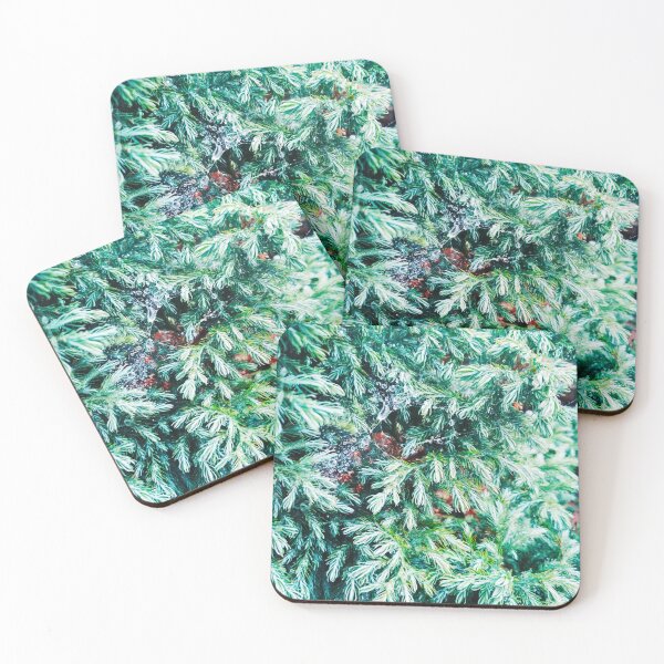 Item preview, Fir tree covered with drops of rain designed and sold by helenkaiy.