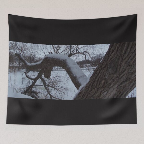 Item preview, Leaning Tree designed and sold by MeggyMayDesigns.
