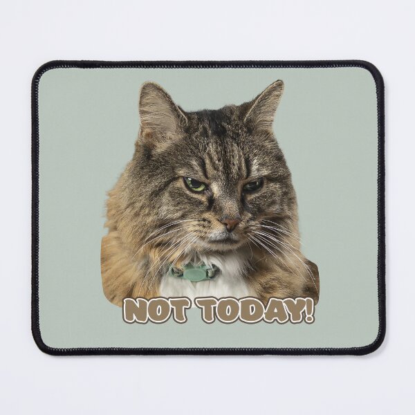 Item preview, Grumpy Miss Kitty Not Today! designed and sold by Baymare.