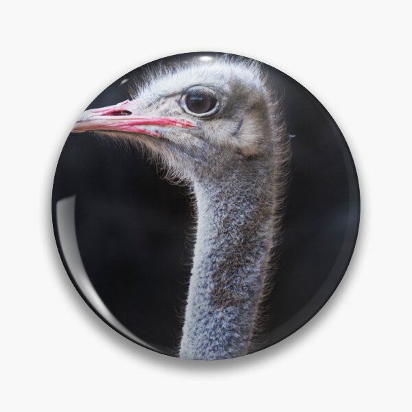 Item preview, Ostrich designed and sold by Dinasworld.