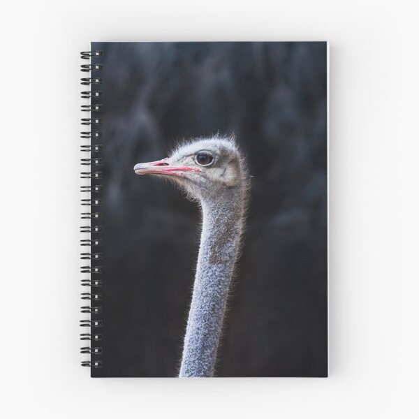 Item preview, Ostrich designed and sold by Dinasworld.