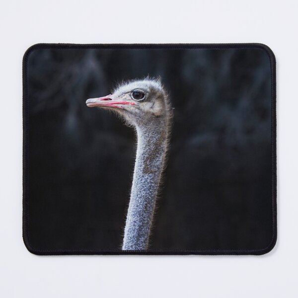 Item preview, Ostrich designed and sold by Dinasworld.