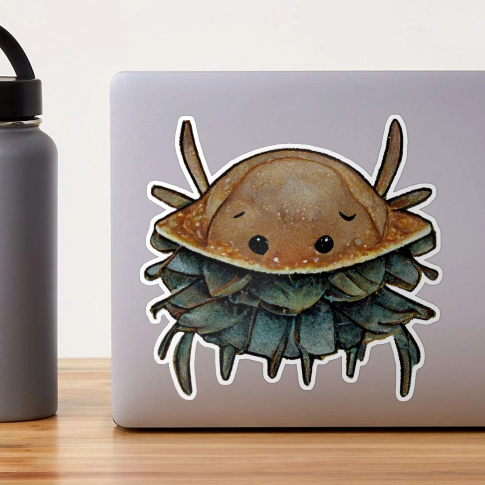 Little Sparkly Sticker Book Halloween — The Horseshoe Crab