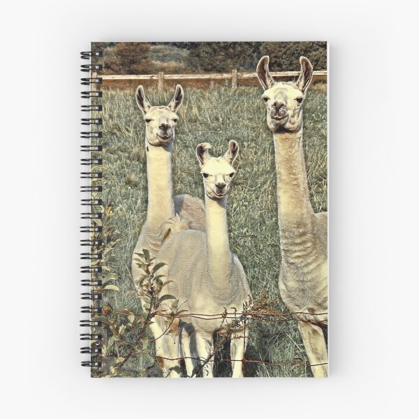 Item preview, Llama Family 1C designed and sold by MaryLinH.