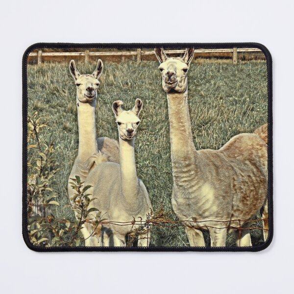 Item preview, Llama Family 1C designed and sold by MaryLinH.