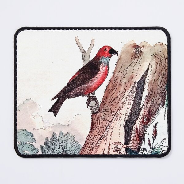 Item preview, Antique French Bird Engraving designed and sold by louisxvpod.