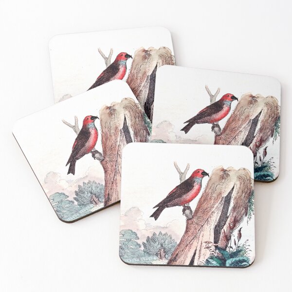 Item preview, Antique French Bird Engraving designed and sold by louisxvpod.