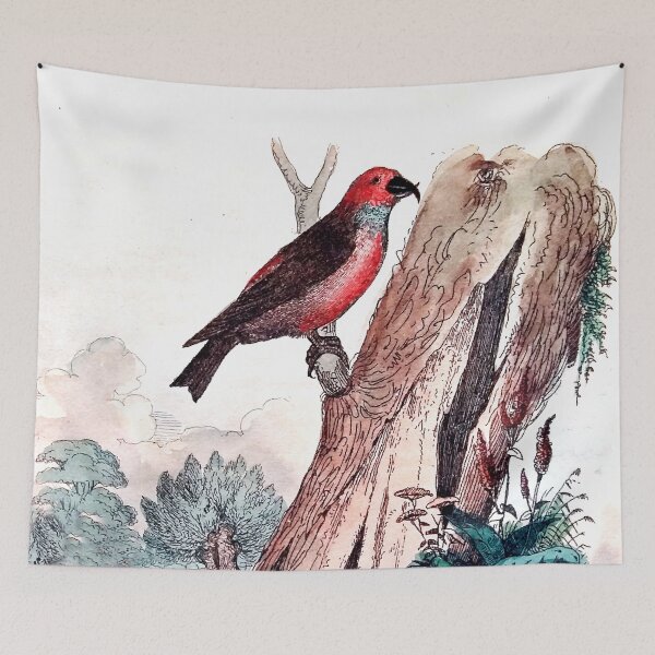 Item preview, Antique French Bird Engraving designed and sold by louisxvpod.