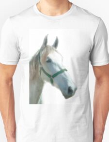 Horse: T-Shirts | Redbubble