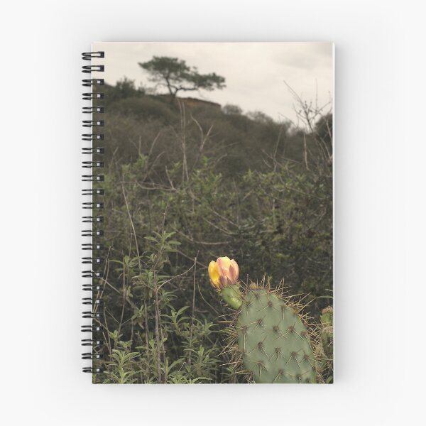 Item preview, Torrey Pine and Prickly Pear Cactus designed and sold by FieldTheBiology.