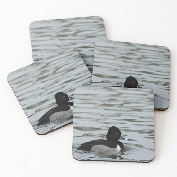 Item preview, Peaceful Ring-Necked Duck, blue designed and sold by MadeleineRoth.