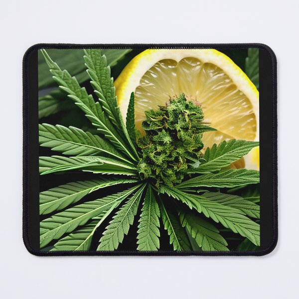 Item preview, Lemon haze cannabis weed designed and sold by StarDust43.