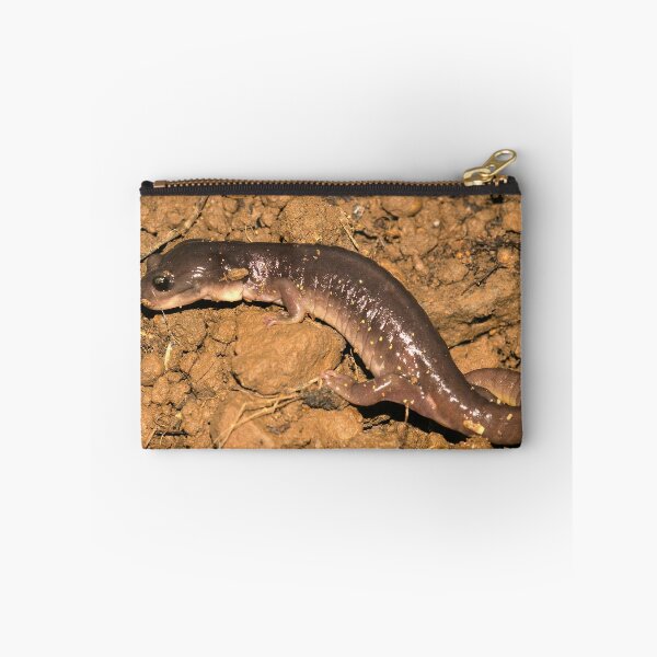 Item preview, Arboreal Salamander (Aneides lugubris) designed and sold by FieldTheBiology.