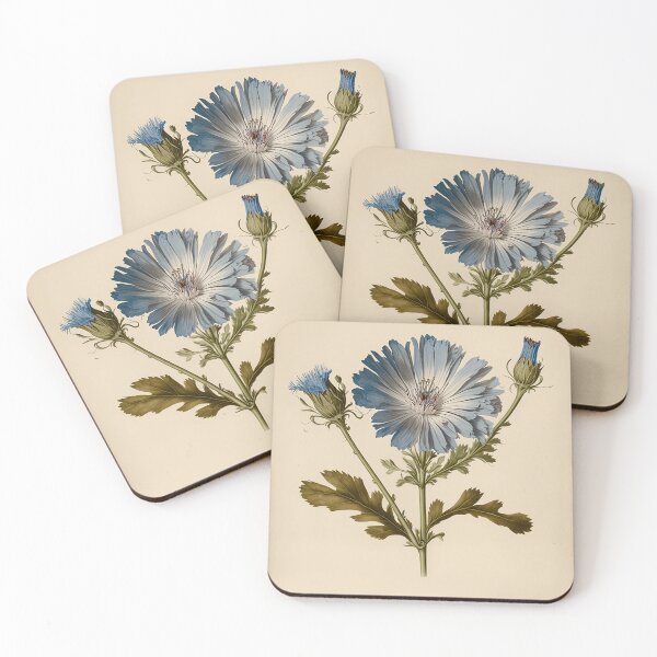 Item preview, Vintage blue chicory flower illustration, inspired by Pierre-Joseph Redouté designed and sold by EmeraldeaArt.