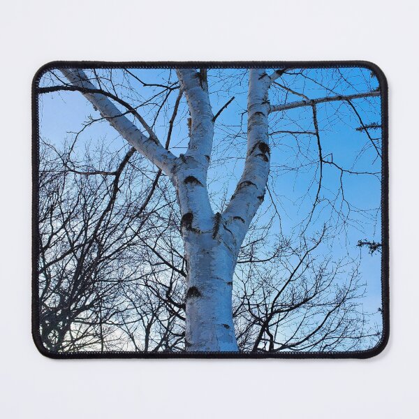 Item preview, White Birch Tree  designed and sold by etherealwonders.