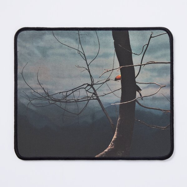 Item preview, Enclosure (Toucan) designed and sold by Jonas St. Juste.