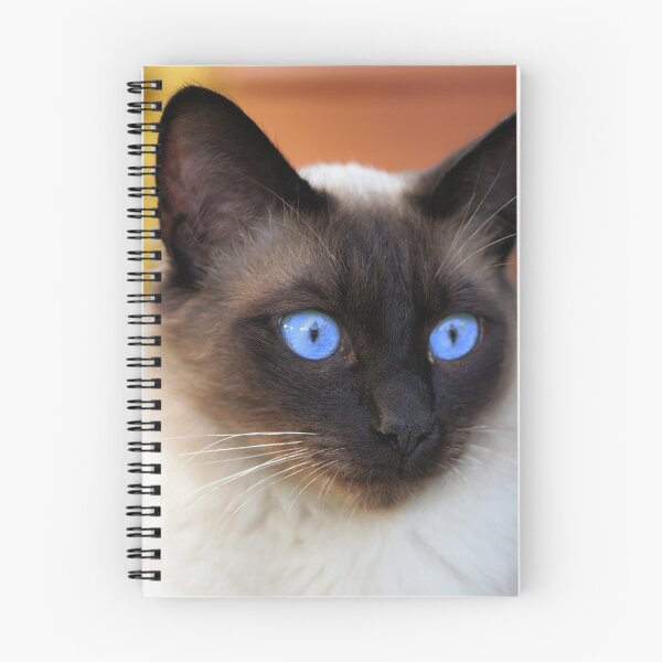 Item preview, Siamese cat bright blue eyes designed and sold by PurefireDesigns.