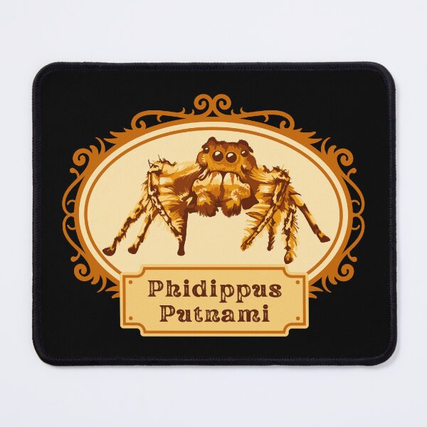 Item preview, Phidippus Putnami - Jumping Spider designed and sold by Unhinged Heather.
