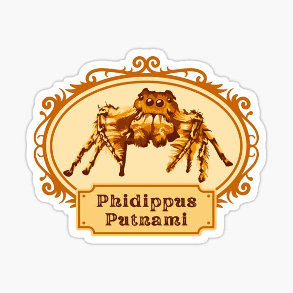Item preview, Phidippus Putnami - Jumping Spider designed and sold by Unhinged Heather.
