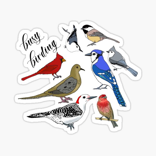 Item preview, Backyard Birds designed and sold by jbello88.