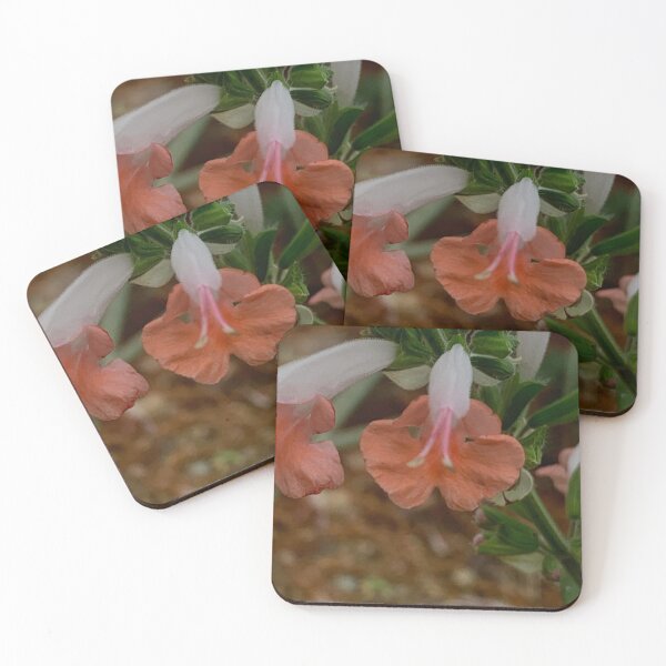 Item preview, Fall Flowers designed and sold by picoriot.