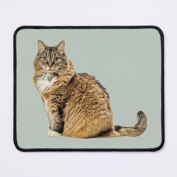 Item preview, Beautiful Tabby Cat designed and sold by Baymare.
