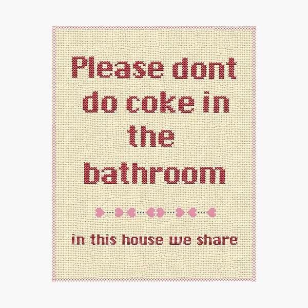 Please... dont do coke in the bathroom Photographic Print
