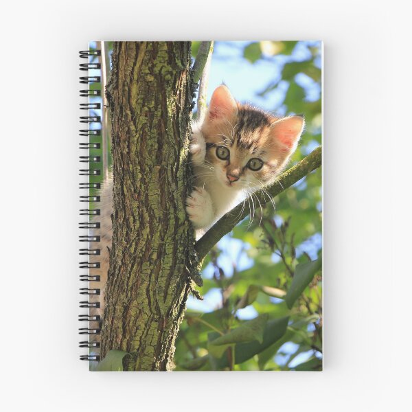 Item preview, Kitten in the tree designed and sold by PurefireDesigns.
