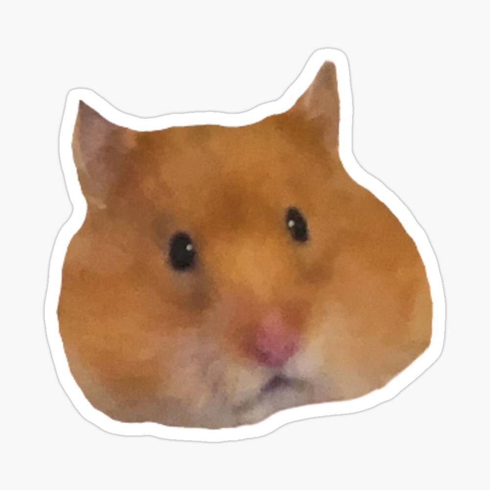 x hamster, hamster face,hamster life | Sticker