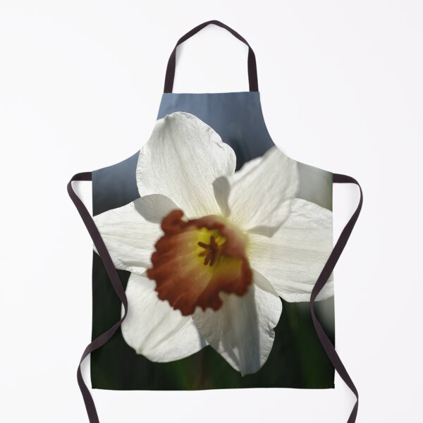 Item preview, White Daffodil designed and sold by Votawgrapher.