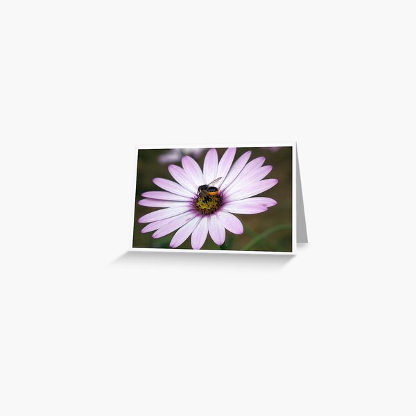 Flower with Bee Greeting Card