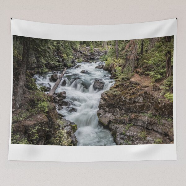 Item preview, Rogue River Gorge designed and sold by GeorgeBuxbaum.
