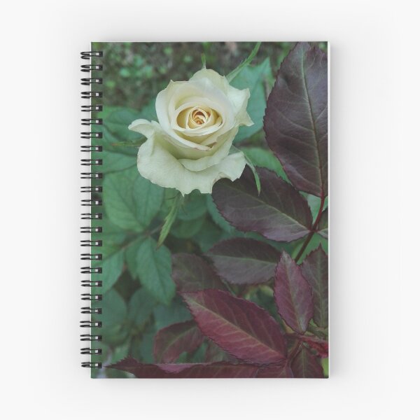 Item preview, White rose designed and sold by paneele.